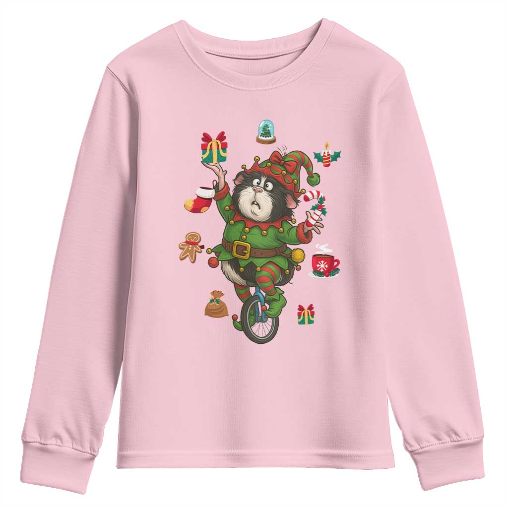 Guinea Pig Master Juggler Youth Sweatshirt Funny Christmas Cavy Lover Gift TS12 Light Pink Print Your Wear