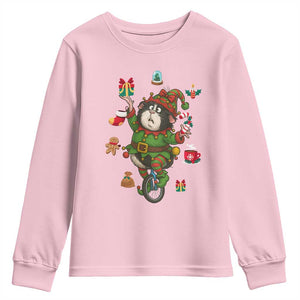 Guinea Pig Master Juggler Youth Sweatshirt Funny Christmas Cavy Lover Gift TS12 Light Pink Print Your Wear