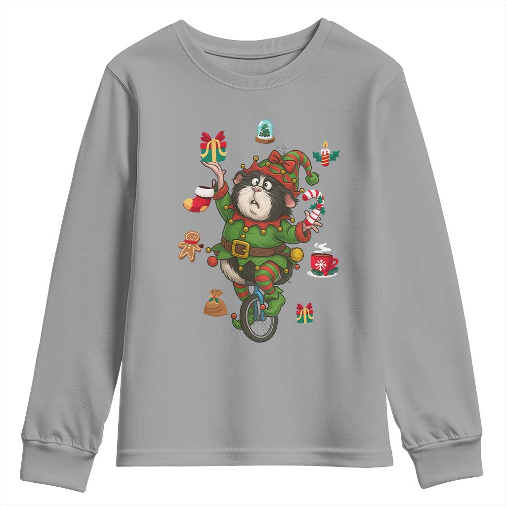 Guinea Pig Master Juggler Youth Sweatshirt Funny Christmas Cavy Lover Gift TS12 Sport Gray Print Your Wear