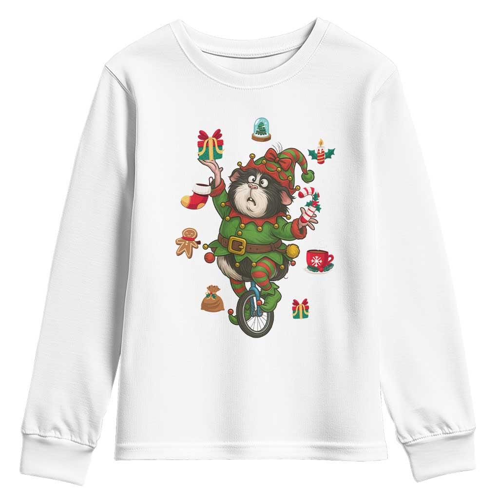 Guinea Pig Master Juggler Youth Sweatshirt Funny Christmas Cavy Lover Gift - Print Your Wear