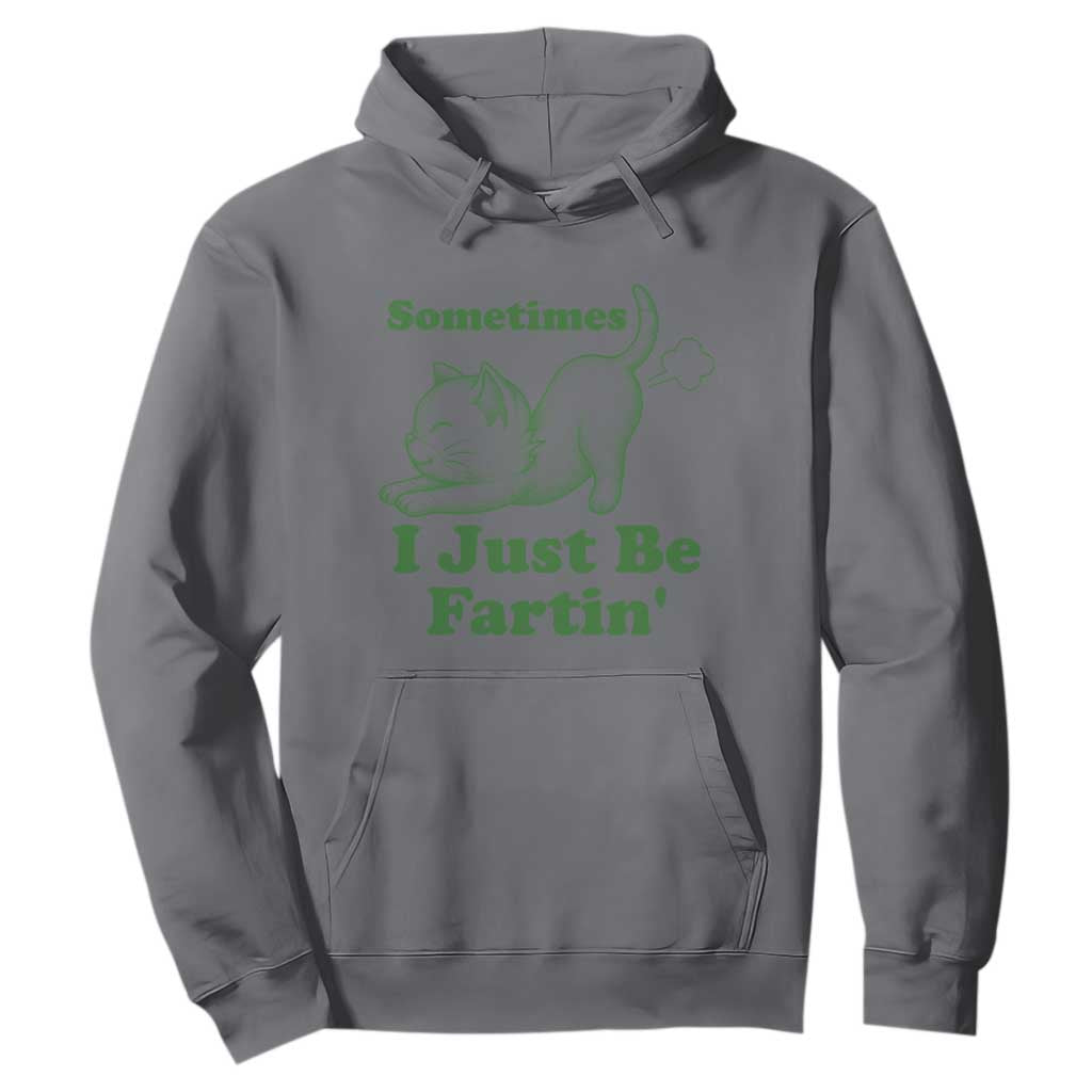 Funny Cat Sometimes I Just Be Fartin Hoodie Pet Lover TS12 Charcoal Print Your Wear