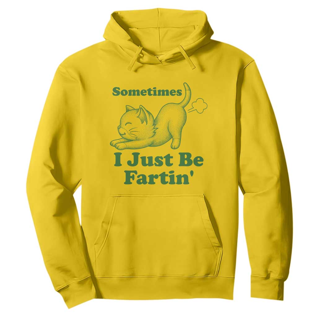Funny Cat Sometimes I Just Be Fartin Hoodie Pet Lover TS12 Daisy Print Your Wear