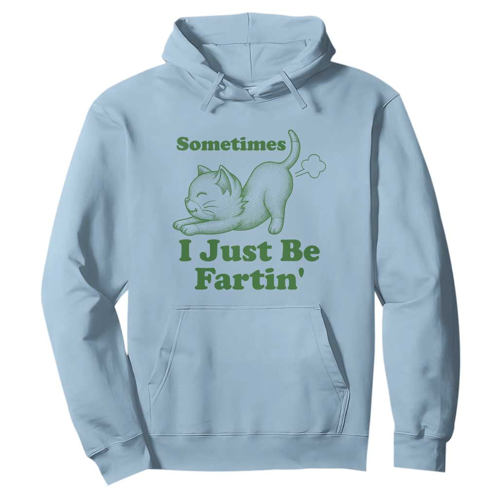 Funny Cat Sometimes I Just Be Fartin Hoodie Pet Lover TS12 Light Blue Print Your Wear