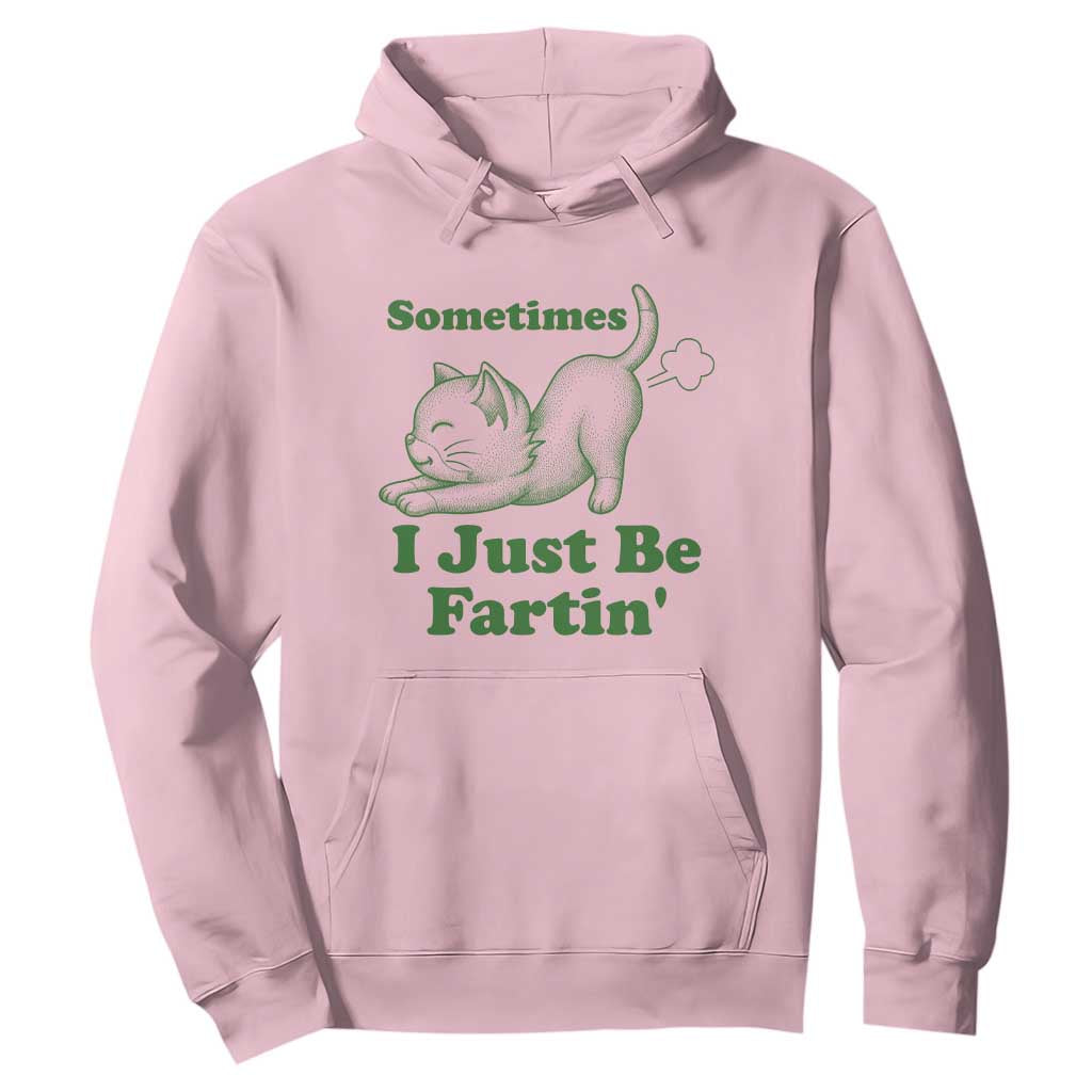 Funny Cat Sometimes I Just Be Fartin Hoodie Pet Lover TS12 Light Pink Print Your Wear