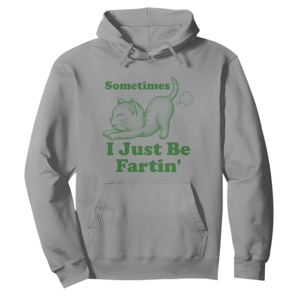 Funny Cat Sometimes I Just Be Fartin Hoodie Pet Lover TS12 Sport Gray Print Your Wear