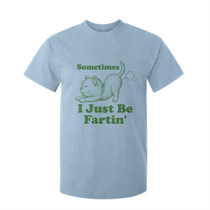 Funny Cat Sometimes I Just Be Fartin T Shirt For Kid Pet Lover TS12 Light Blue Print Your Wear