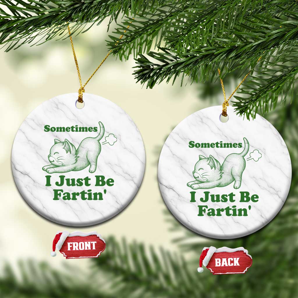 Funny Cat Sometimes I Just Be Fartin Ceramic Ornament Pet Lover TS12 1pc White Marble Print Your Wear