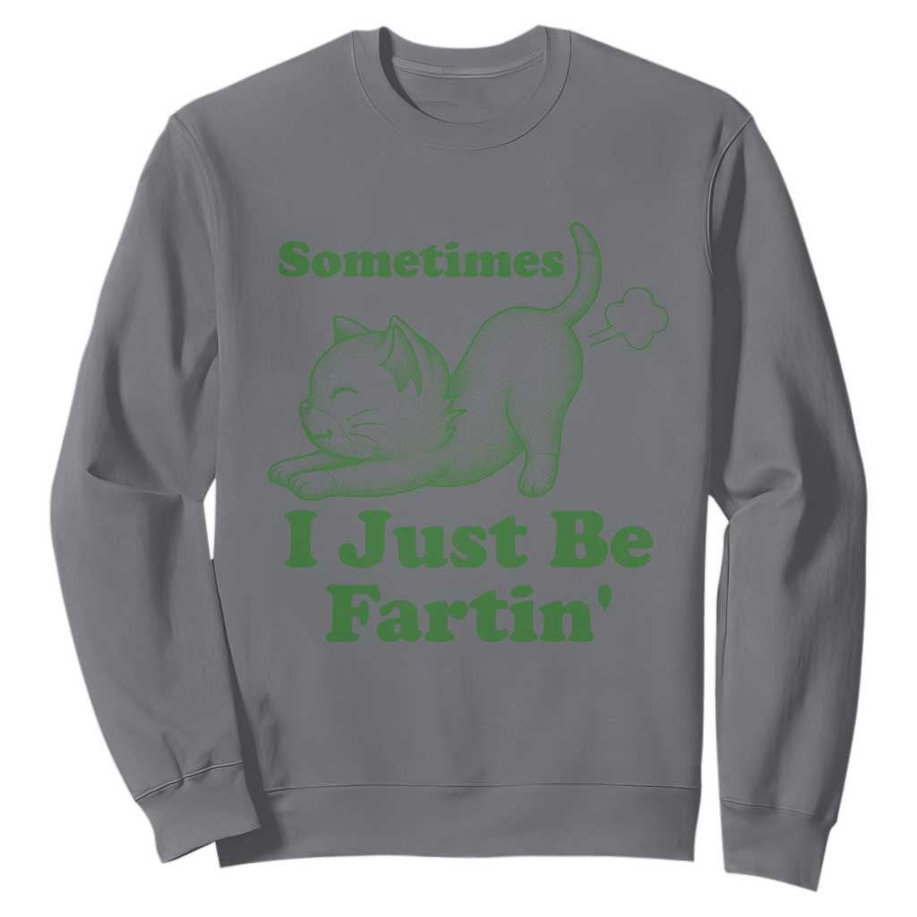 Funny Cat Sometimes I Just Be Fartin Sweatshirt Pet Lover TS12 Charcoal Print Your Wear