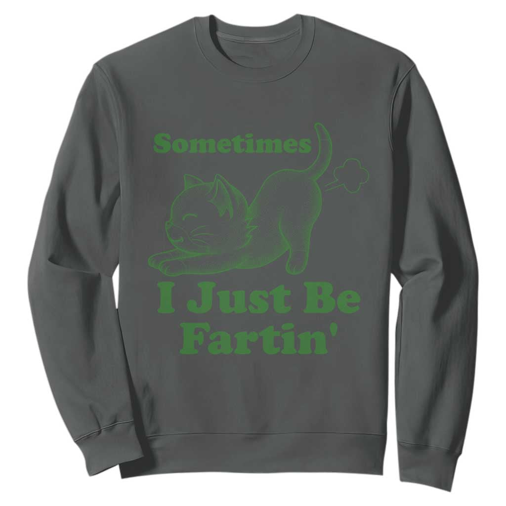 Funny Cat Sometimes I Just Be Fartin Sweatshirt Pet Lover TS12 Dark Heather Print Your Wear