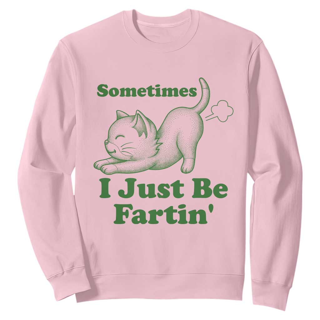 Funny Cat Sometimes I Just Be Fartin Sweatshirt Pet Lover TS12 Light Pink Print Your Wear