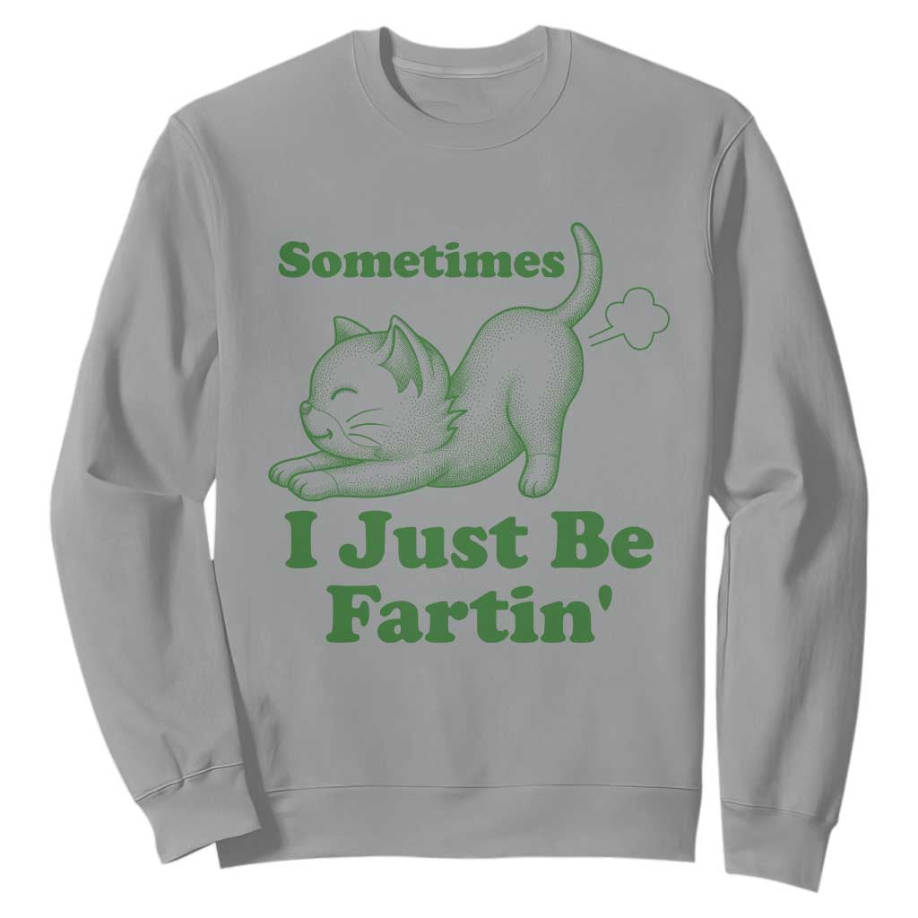 Funny Cat Sometimes I Just Be Fartin Sweatshirt Pet Lover TS12 Sport Gray Print Your Wear