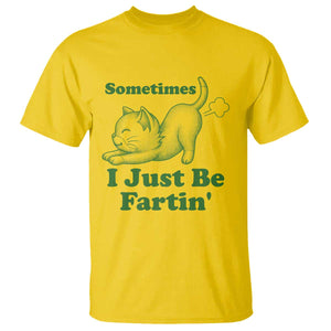 Funny Cat Sometimes I Just Be Fartin T Shirt Pet Lover TS12 Daisy Print Your Wear