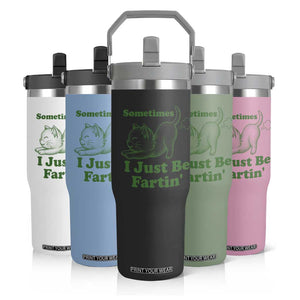 Funny Cat Sometimes I Just Be Fartin Flip Straw Tumbler Pet Lover TS12 Print Your Wear