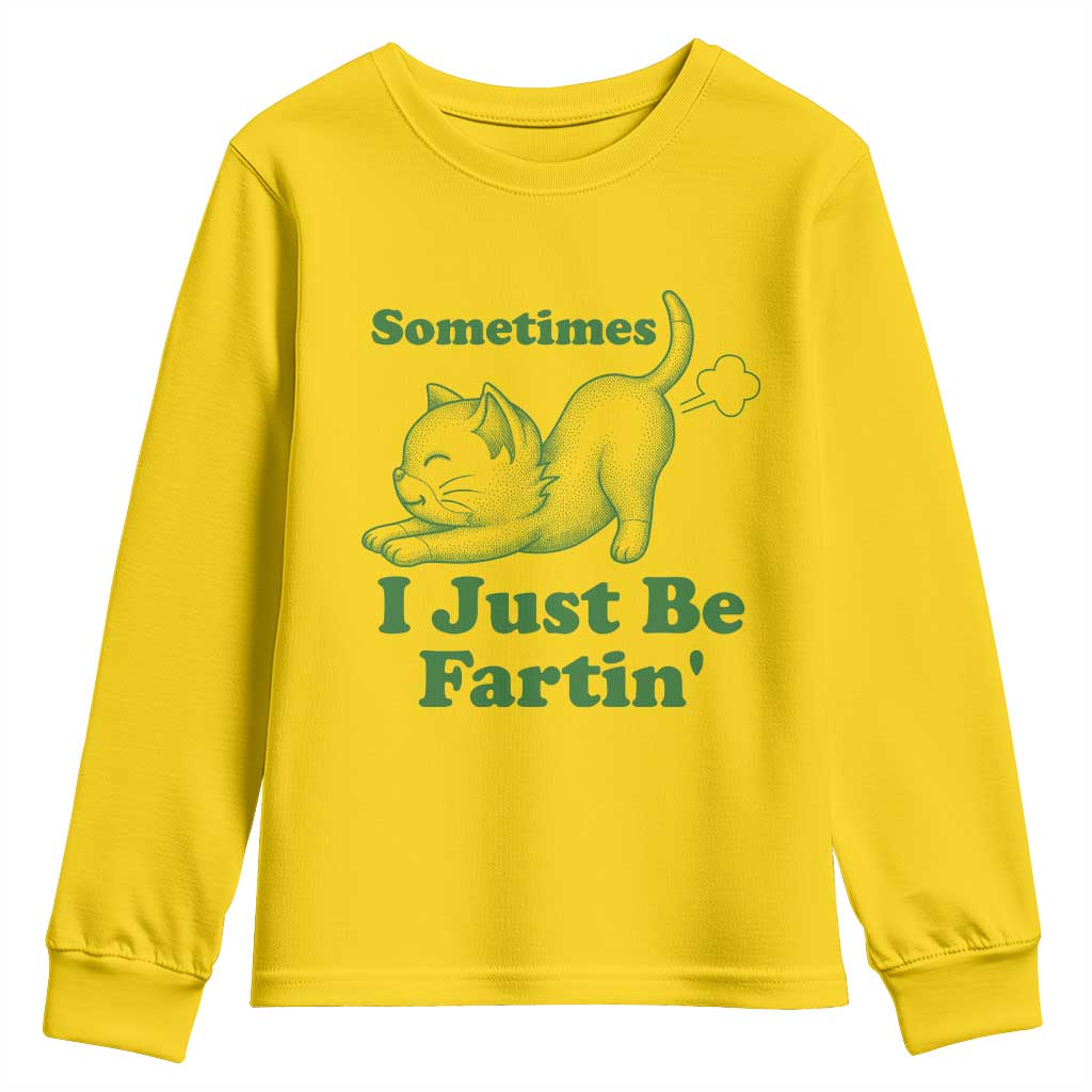 Funny Cat Sometimes I Just Be Fartin Youth Sweatshirt Pet Lover TS12 Daisy Print Your Wear
