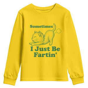 Funny Cat Sometimes I Just Be Fartin Youth Sweatshirt Pet Lover TS12 Daisy Print Your Wear