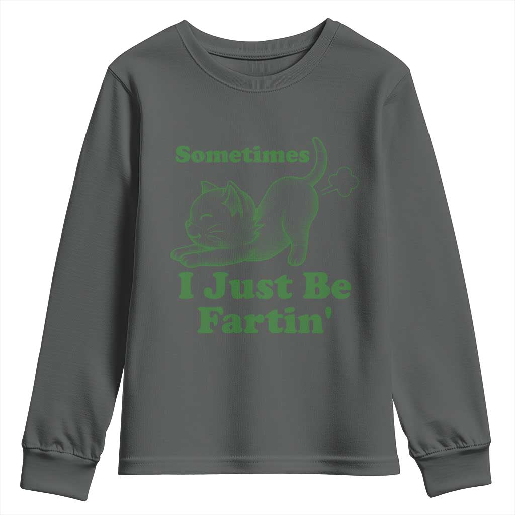 Funny Cat Sometimes I Just Be Fartin Youth Sweatshirt Pet Lover TS12 Dark Heather Print Your Wear