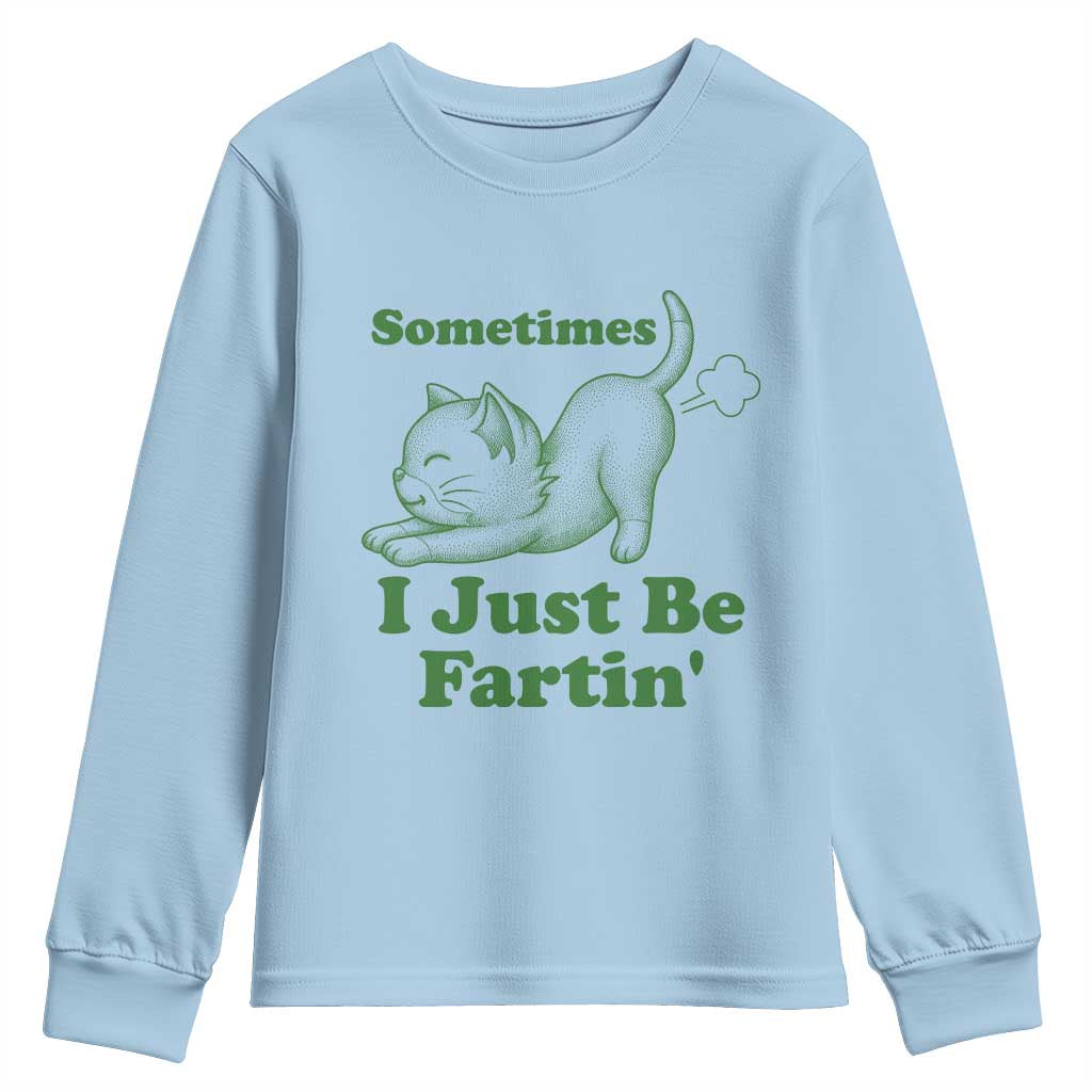 Funny Cat Sometimes I Just Be Fartin Youth Sweatshirt Pet Lover TS12 Light Blue Print Your Wear