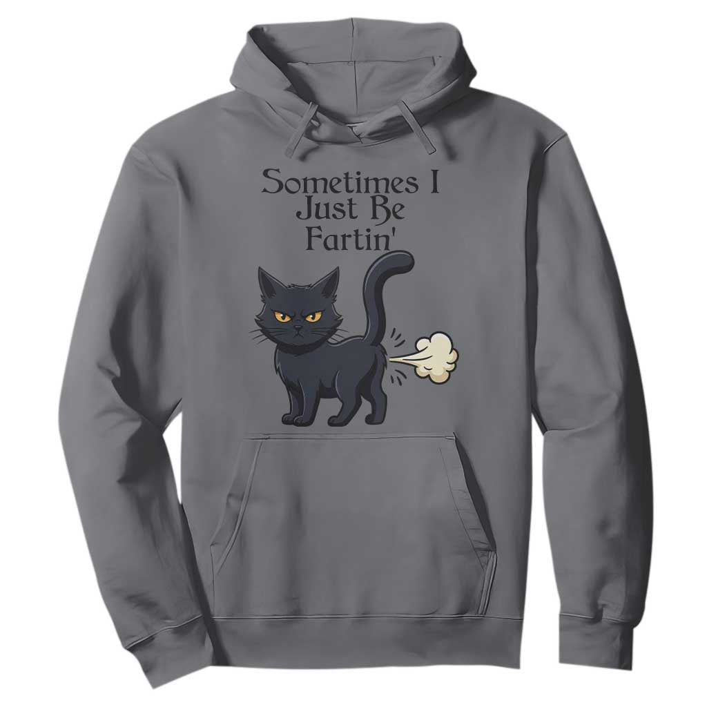 Funny Black Cat Bathroom Humor Hoodie Sometimes I Just Be Fartin TS12 Charcoal Print Your Wear