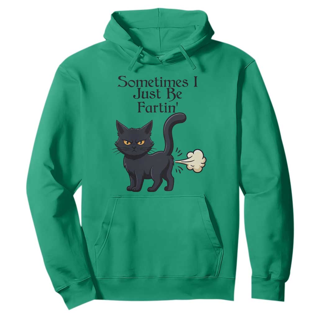 Funny Black Cat Bathroom Humor Hoodie Sometimes I Just Be Fartin TS12 Irish Green Print Your Wear
