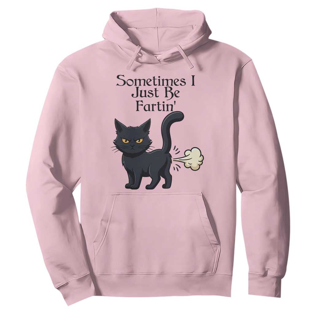 Funny Black Cat Bathroom Humor Hoodie Sometimes I Just Be Fartin TS12 Light Pink Print Your Wear
