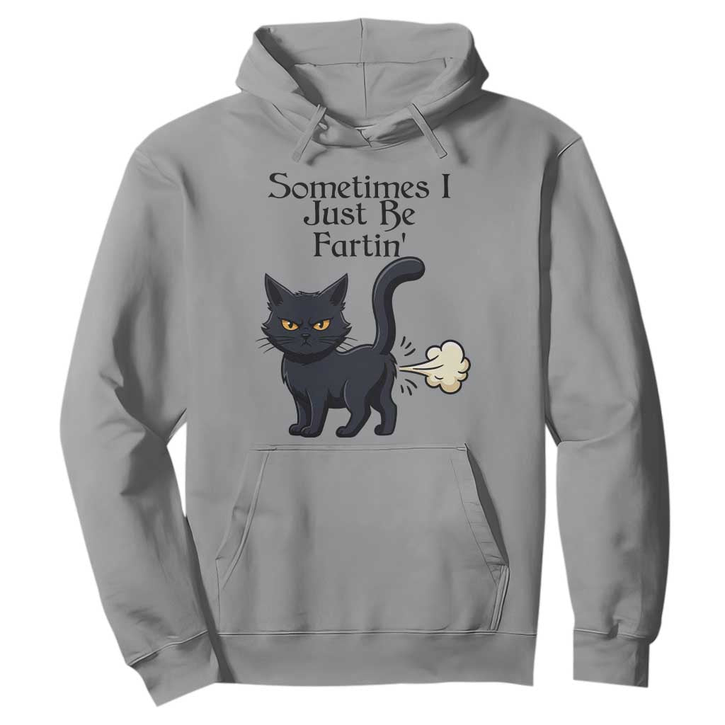 Funny Black Cat Bathroom Humor Hoodie Sometimes I Just Be Fartin TS12 Sport Gray Print Your Wear