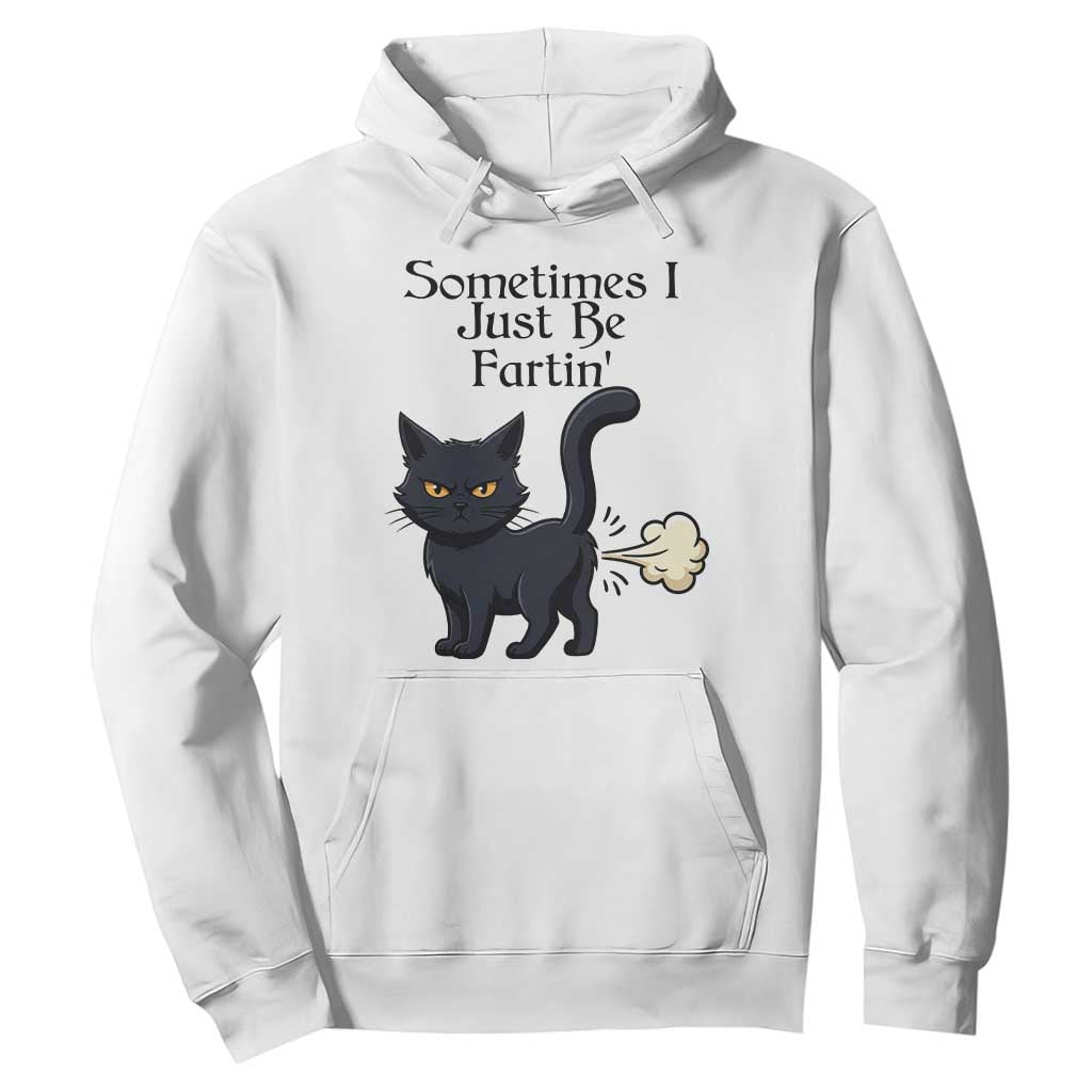 Funny Black Cat Bathroom Humor Hoodie Sometimes I Just Be Fartin TS12 White Print Your Wear