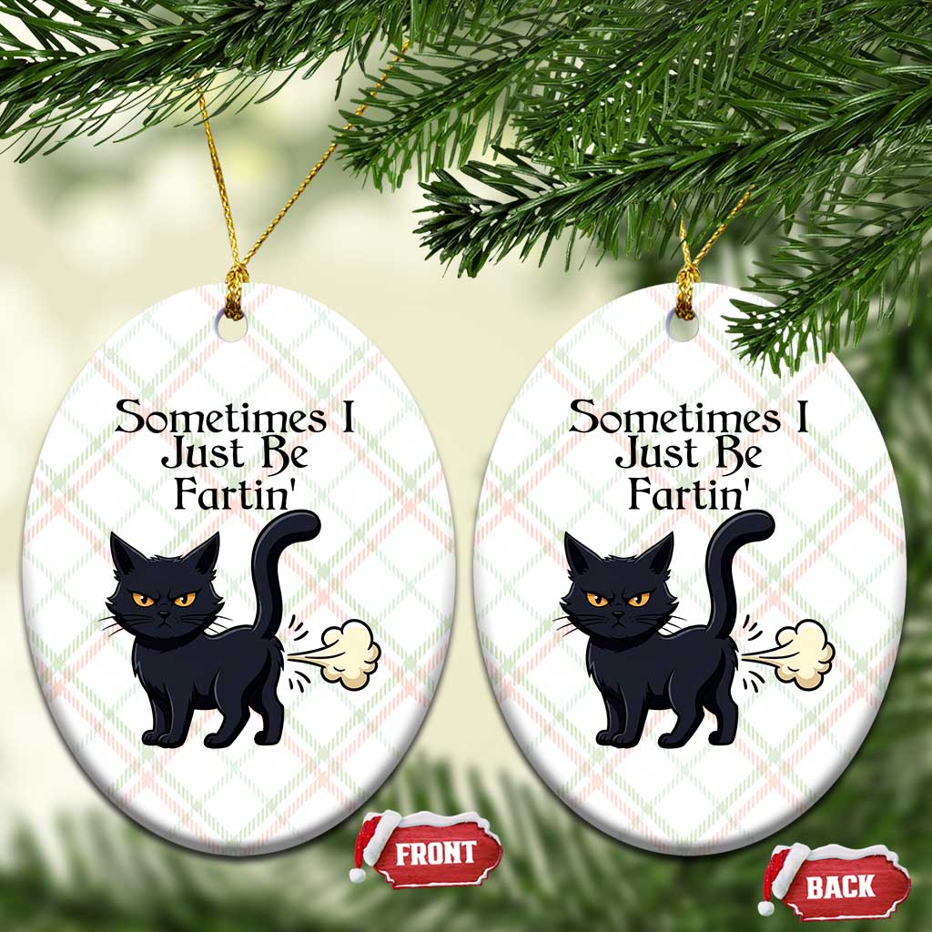 Funny Black Cat Bathroom Humor Ceramic Ornament Sometimes I Just Be Fartin TS12 Print Your Wear
