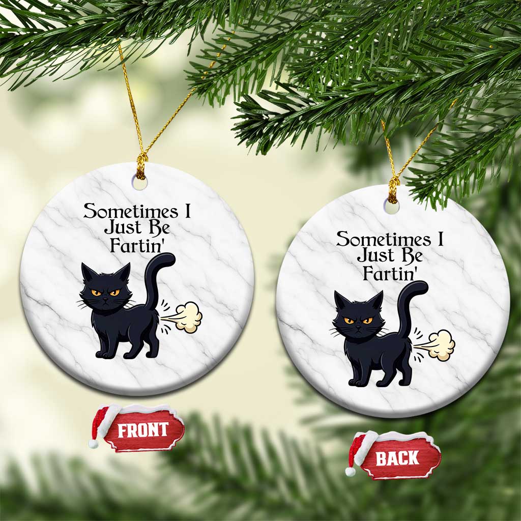 Funny Black Cat Bathroom Humor Ceramic Ornament Sometimes I Just Be Fartin TS12 1pc White Marble Print Your Wear