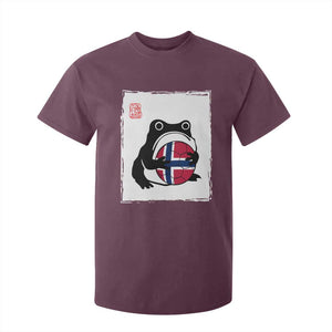 Grumpy Frog Norway Soccer Fan T Shirt For Kid Japanese Style Match Day TS12 Maroon Print Your Wear