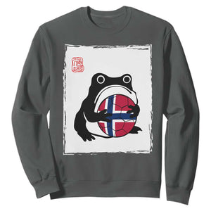 Grumpy Frog Norway Soccer Fan Sweatshirt Japanese Style Match Day TS12 Dark Heather Print Your Wear