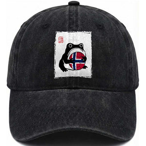 Grumpy Frog Norway Soccer Fan Washed Cotton Baseball Cap Japanese Style Match Day TS12 Print Your Wear