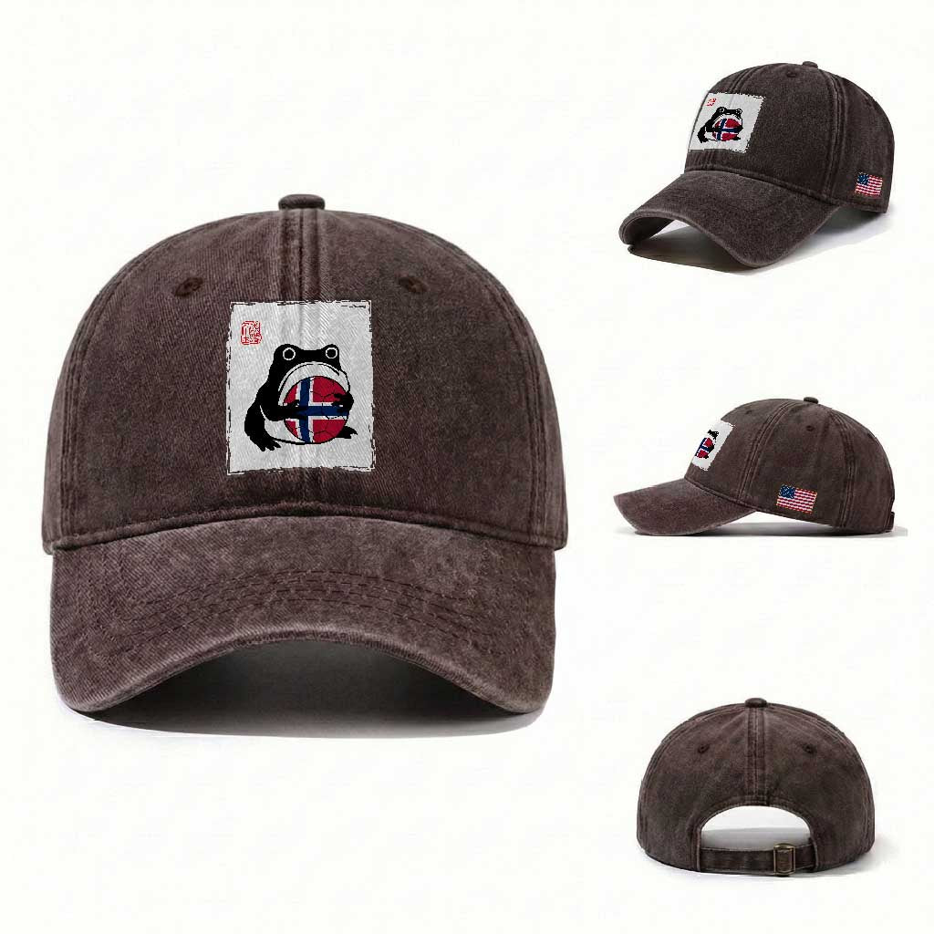 Grumpy Frog Norway Soccer Fan Washed Cotton Baseball Cap Japanese Style Match Day TS12 Washed Cap Universal Fit Dark Brown Print Your Wear