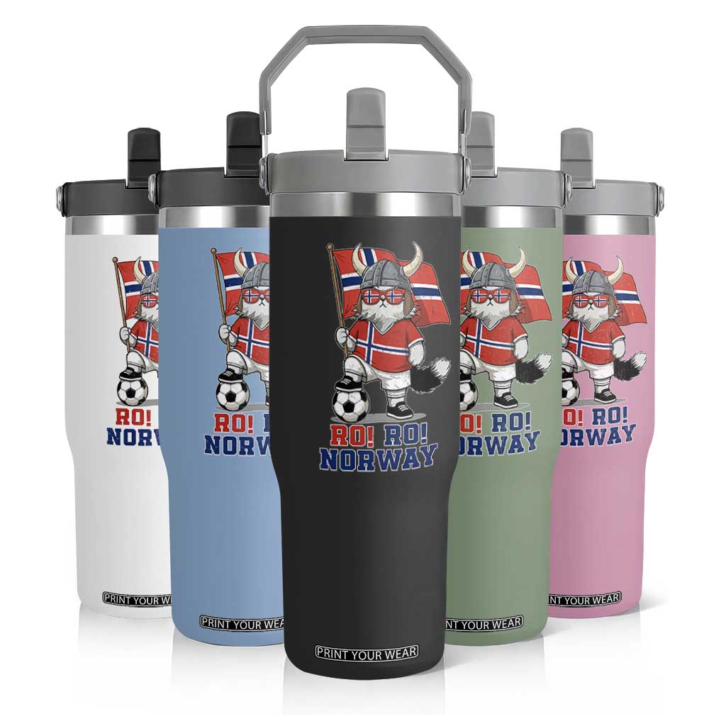 Ro Ro Norway Flip Straw Tumbler Norwegian Pride Cat Lover Norway Flag Gift TS12 Print Your Wear