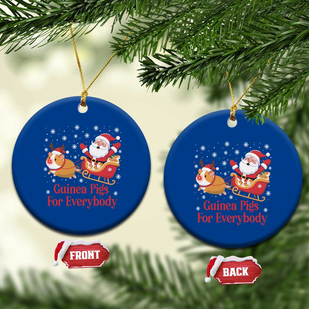 Guinea Pigs For Everybody Ceramic Ornament Funny Xmas Gift TS12 1pc Blue Print Your Wear