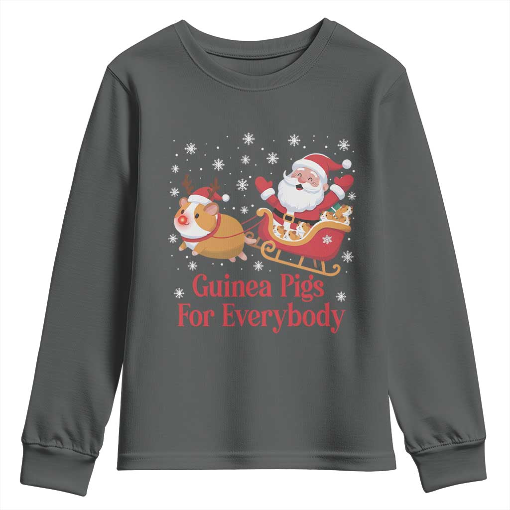 Guinea Pigs For Everybody Youth Sweatshirt Funny Xmas Gift TS12 Dark Heather Print Your Wear