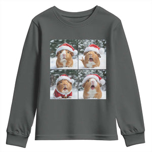 Funny Guinea Pig With Santa Hat Photobooth Youth Sweatshirt Christmas Gift TS12 Dark Heather Print Your Wear