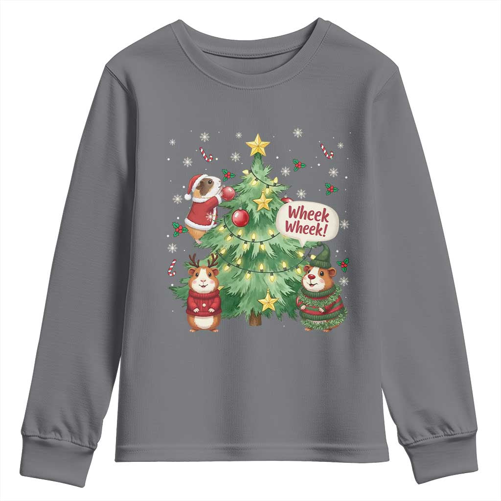 Wheek Wheek Guinea Pig Christmas Outfit Youth Sweatshirt Cavy Lover Gift TS12 Charcoal Print Your Wear