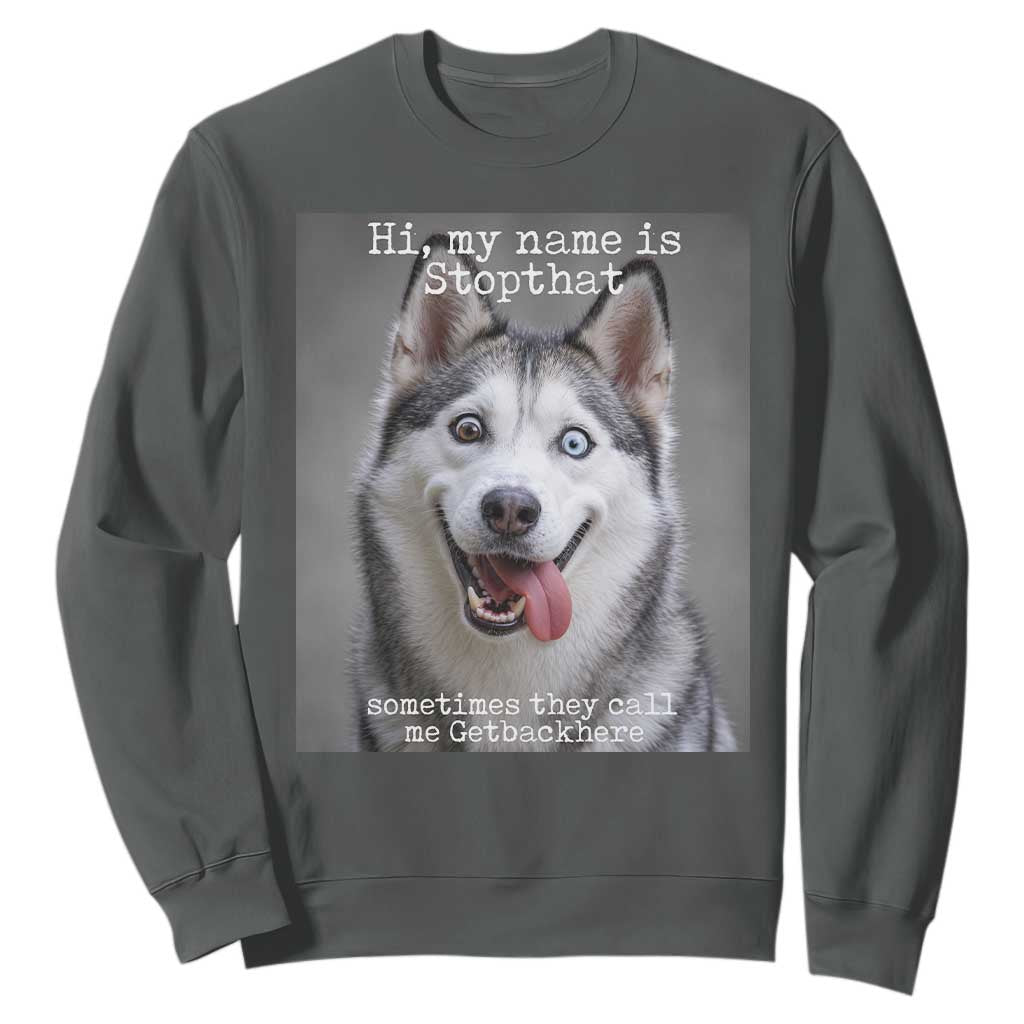 Funny Siberian Husky Meme Sweatshirt My Name Is Stop That TS12 Dark Heather Print Your Wear