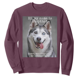 Funny Siberian Husky Meme Sweatshirt My Name Is Stop That TS12 Maroon Print Your Wear