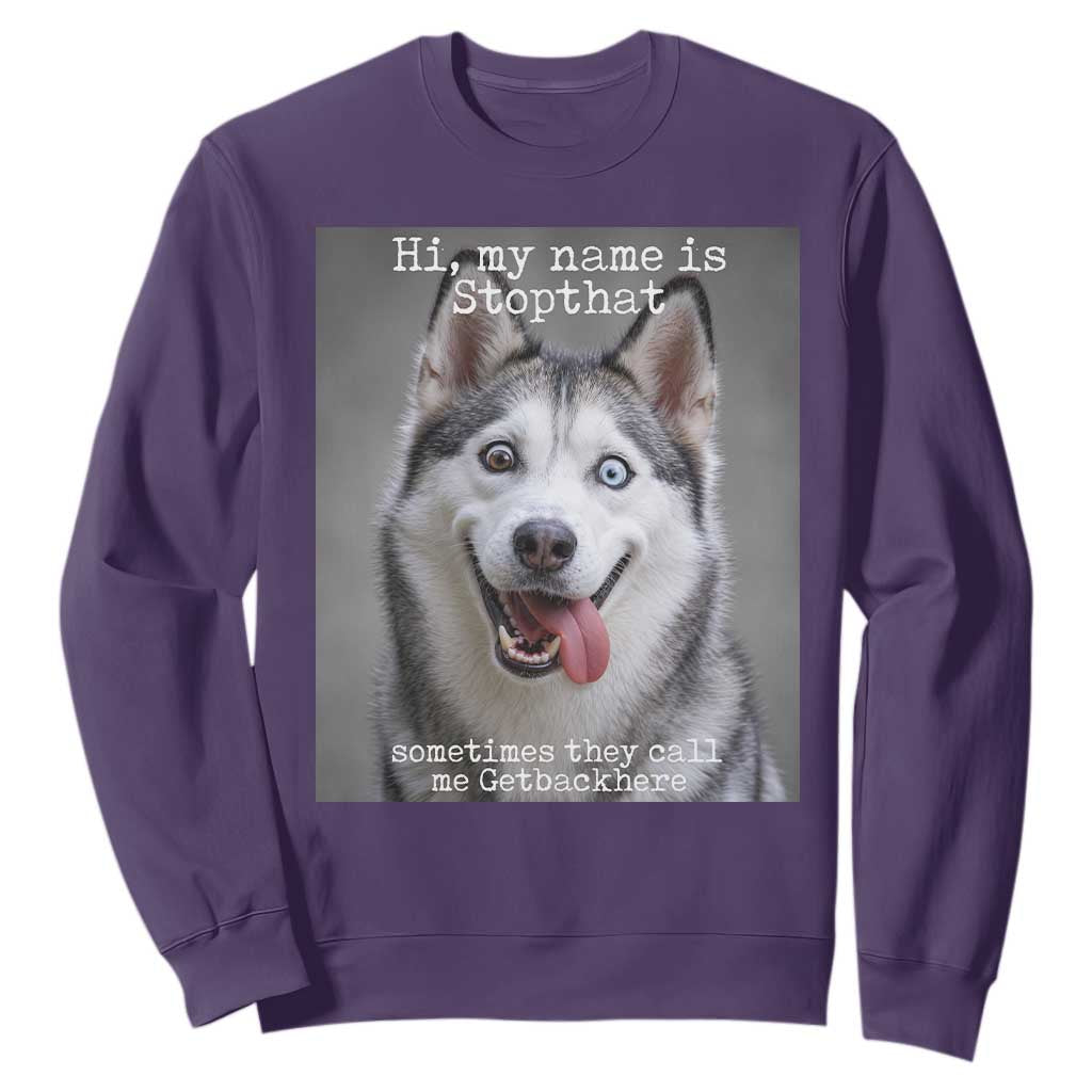 Funny Siberian Husky Meme Sweatshirt My Name Is Stop That TS12 Purple Print Your Wear