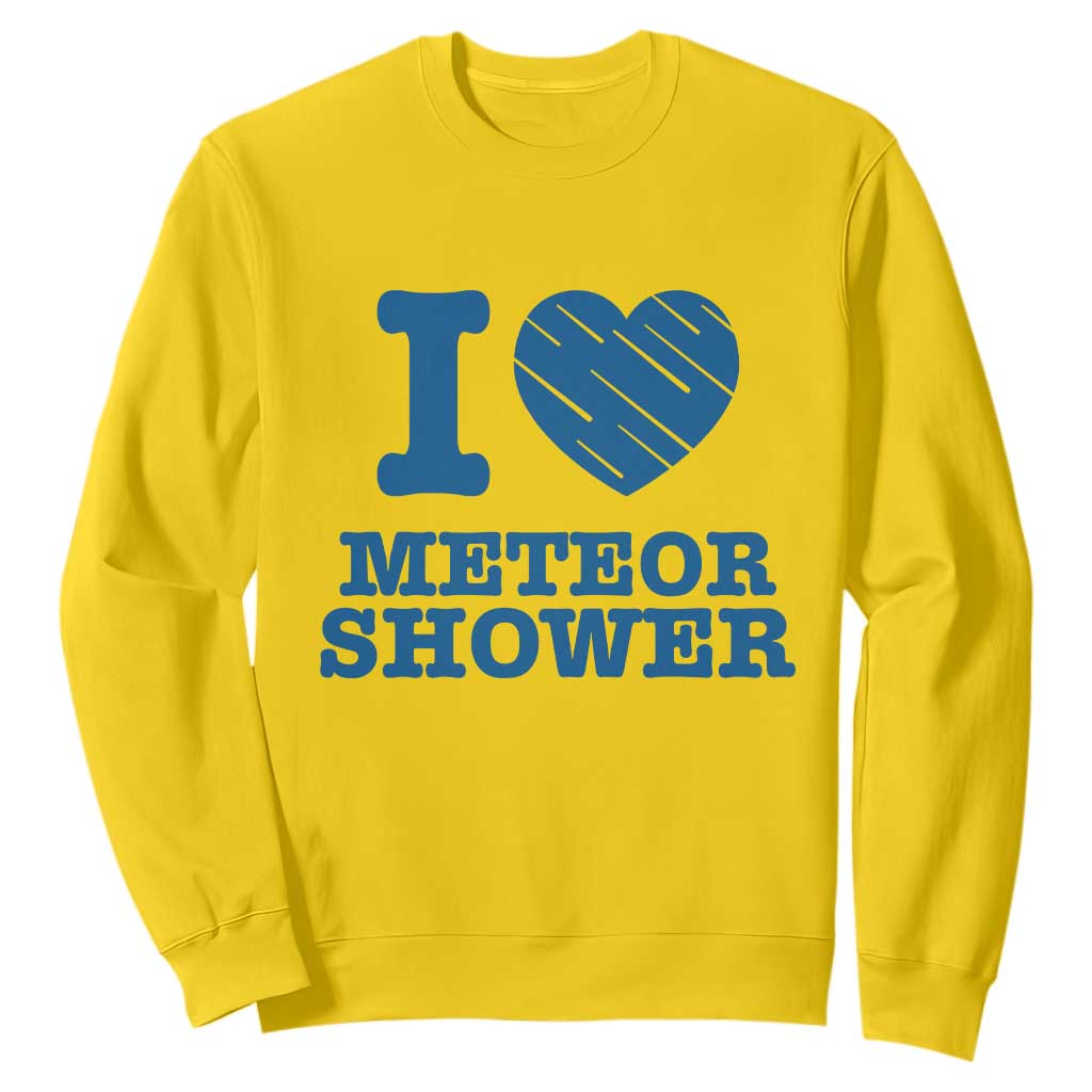Meteor Shower Lover Sweatshirt Astronomy Enthusiast Gift