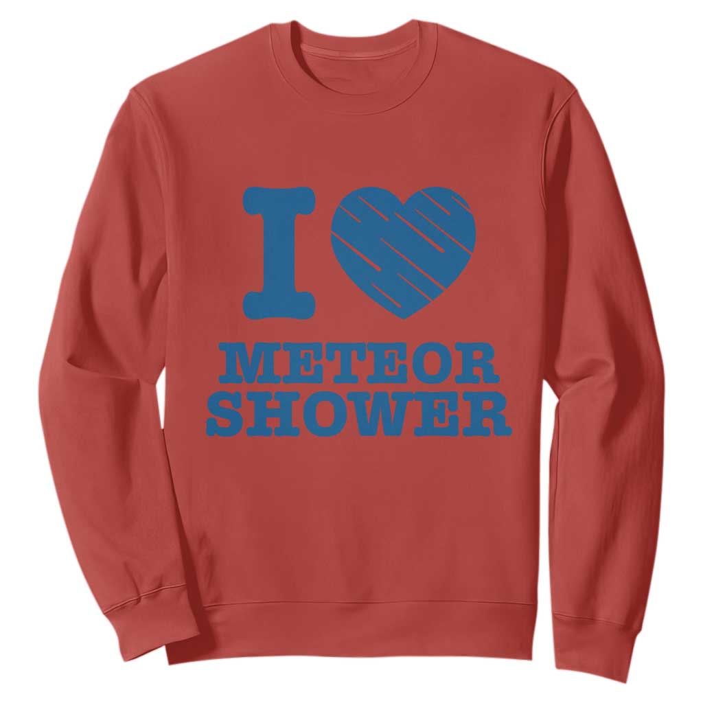 Meteor Shower Lover Sweatshirt Astronomy Enthusiast Gift