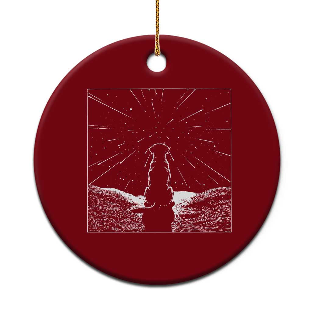 Meteor Shower Science Gift Ceramic Ornament Dog Watching Stars TS12 1pc Red Print Your Wear