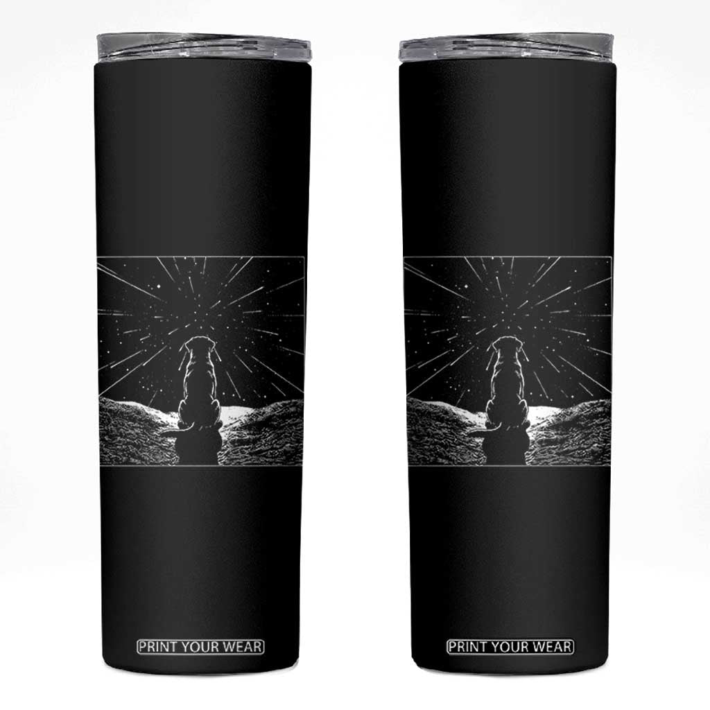 Meteor Shower Science Gift Skinny Tumbler Dog Watching Stars
