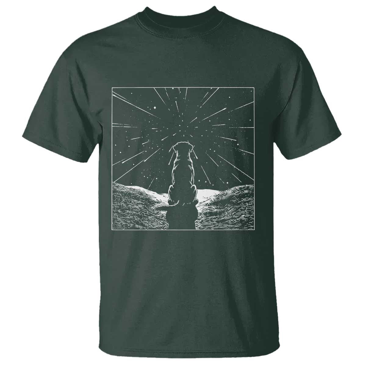 Meteor Shower Science Gift T Shirt Dog Watching Stars