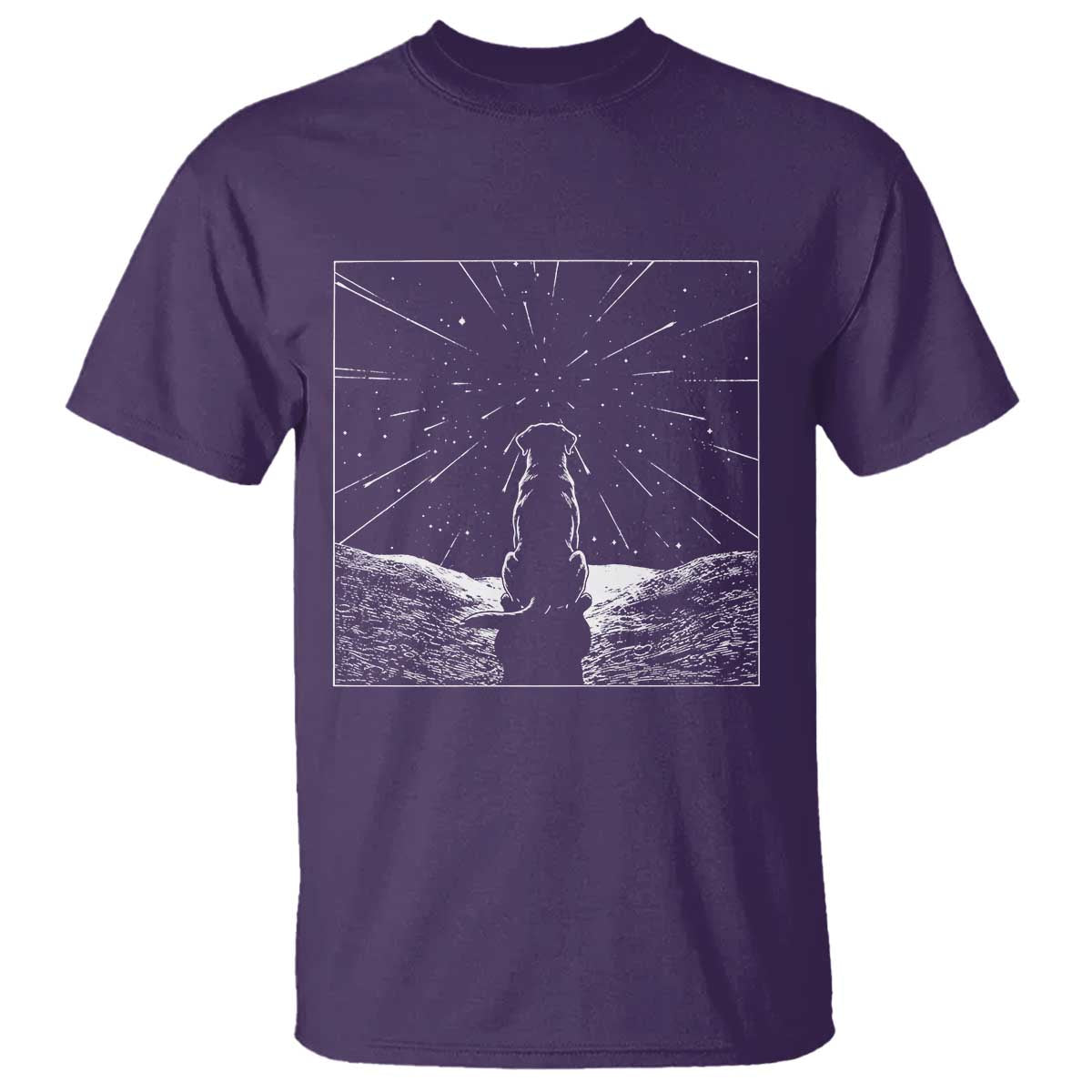 Meteor Shower Science Gift T Shirt Dog Watching Stars