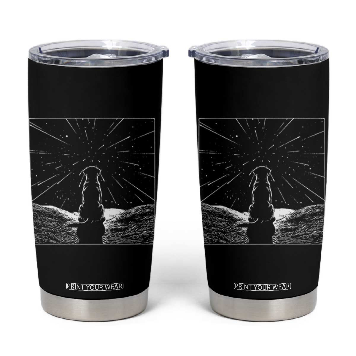 Meteor Shower Science Gift Tumbler Cup Dog Watching Stars TS12 Black Print Your Wear
