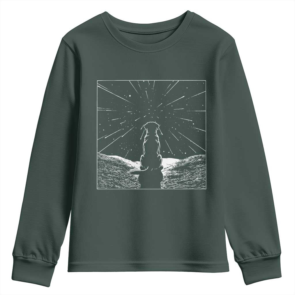 Meteor Shower Science Gift Youth Sweatshirt Dog Watching Stars