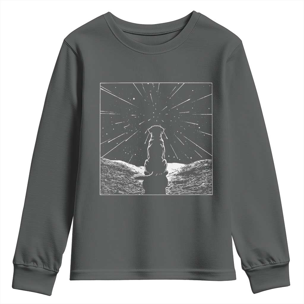 Meteor Shower Science Gift Youth Sweatshirt Dog Watching Stars
