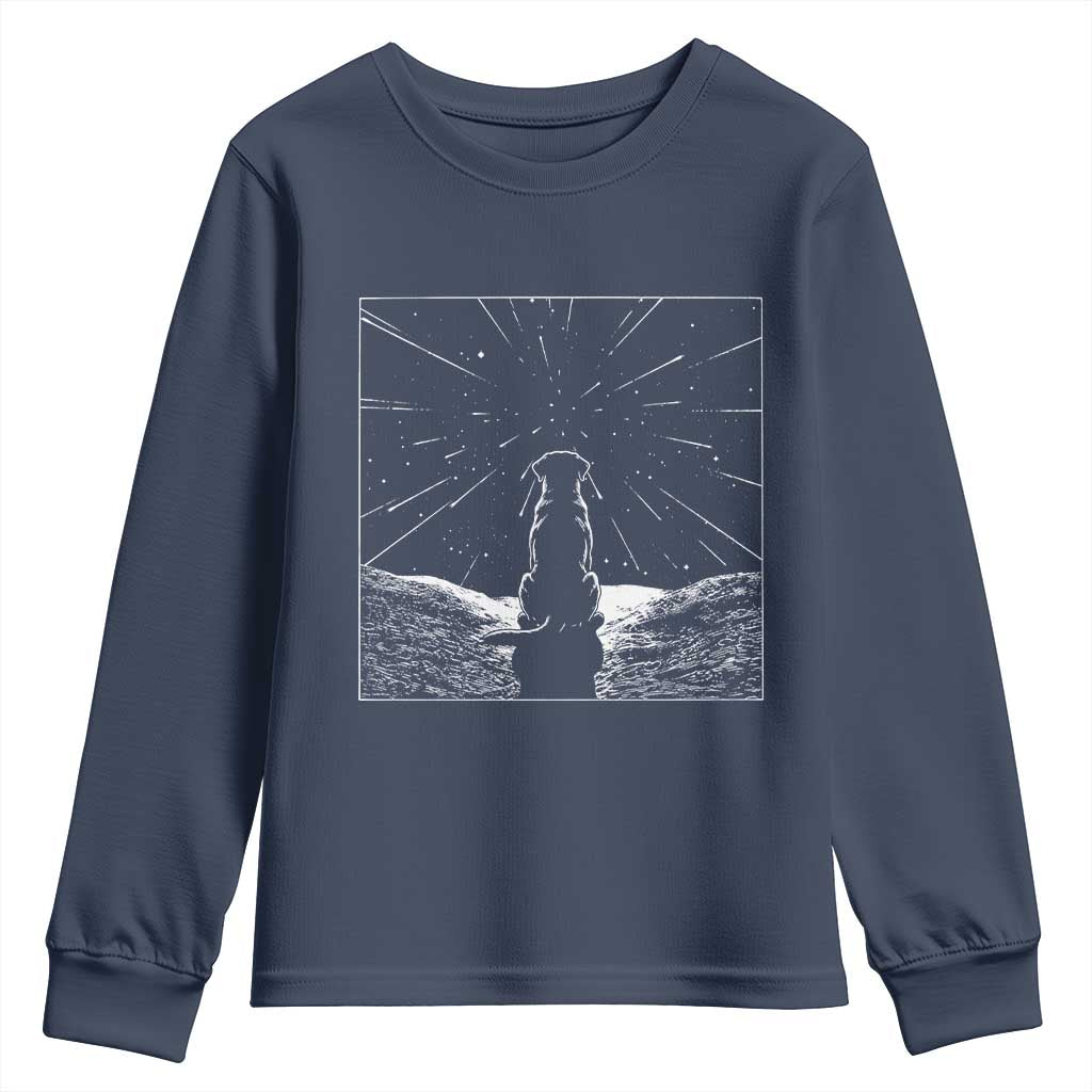 Meteor Shower Science Gift Youth Sweatshirt Dog Watching Stars